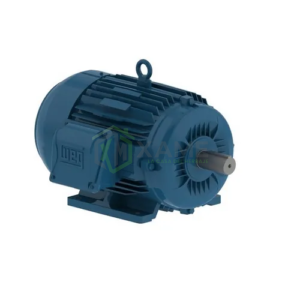 MOTOR WEG MONOFASICO 3600 3/4"