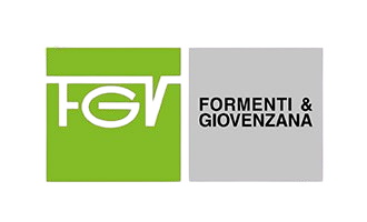 fgv-removebg-preview